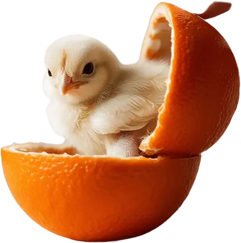 Full Service Design für Wuppertal