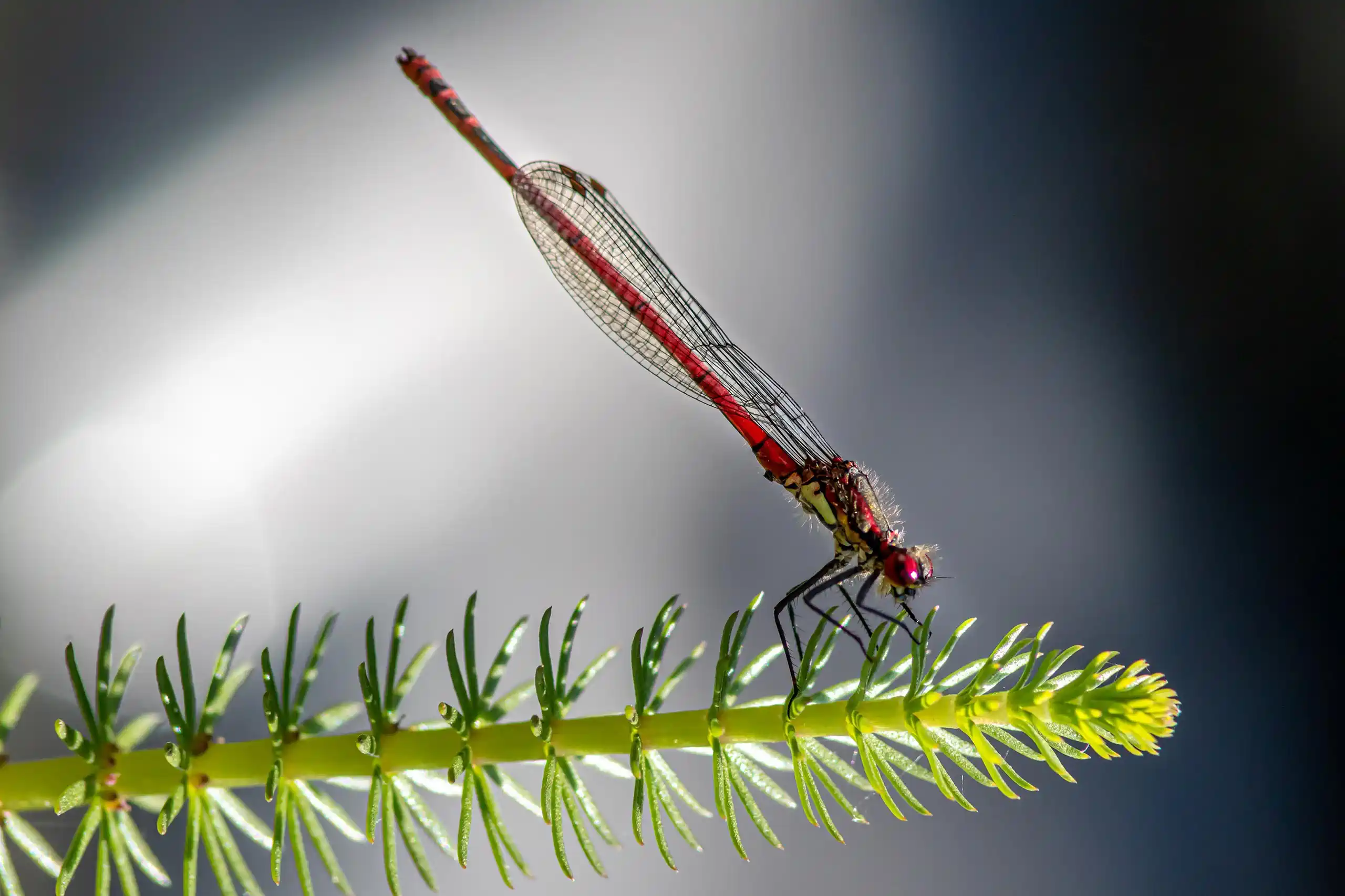 Fehler, die den Erfolg einer Website verhindern