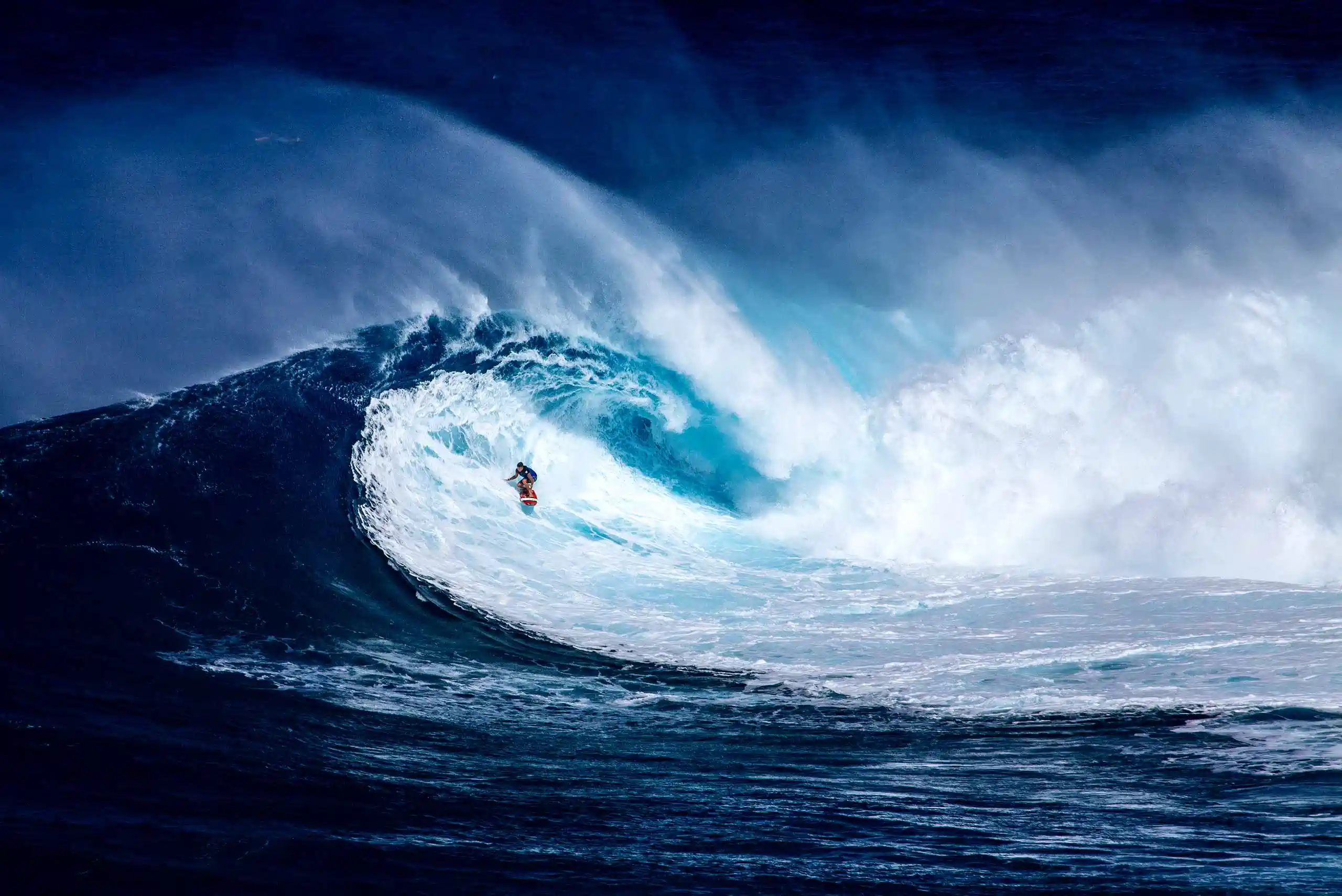 Lokales SEO Wuppertal